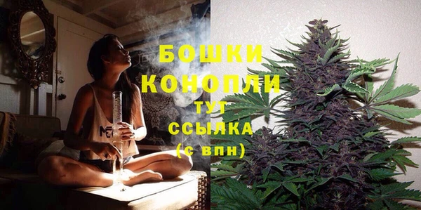 мяу мяу мука Новозыбков